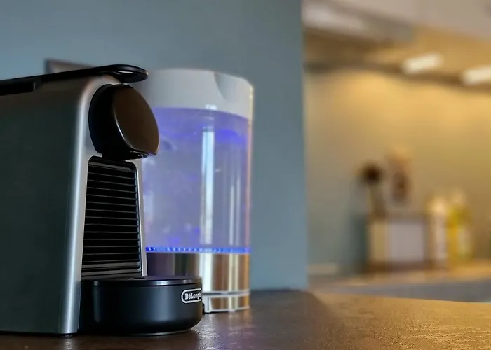 Fischerhuesli Directly On Thun