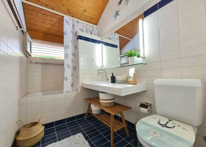 Fischerhuesli Directly On Thun Darligen