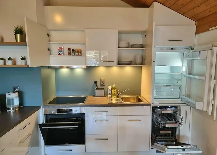 Fischerhuesli Directly On Thun *