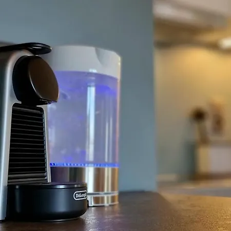 Fischerhuesli Directly On Thun